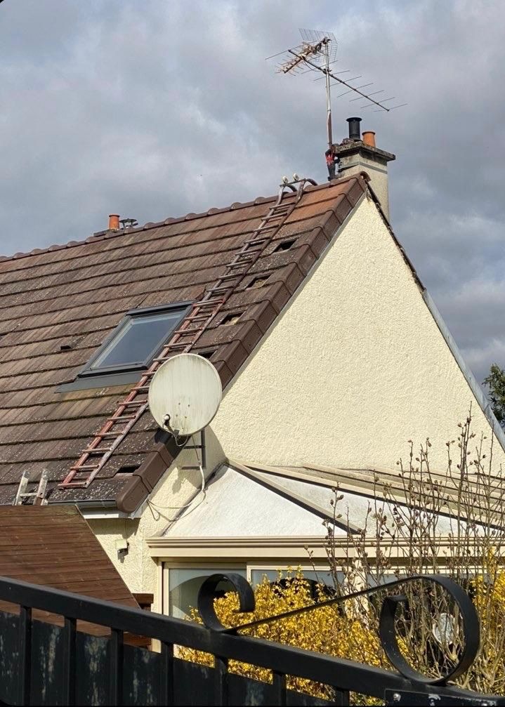 Toiture avant nettoyage
